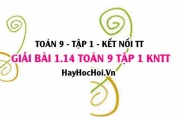 Giải 1.14 Toán 9 tập 1 SGK Kết nối tri thức